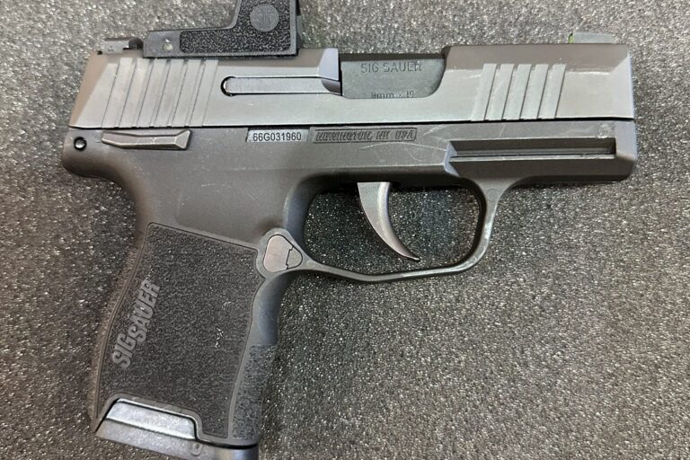 sig sauer p365 9mm with sig romeo zero
